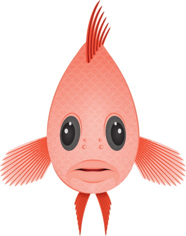 Bilde av en fisk